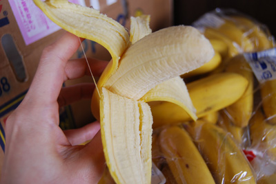 banana-004.jpg